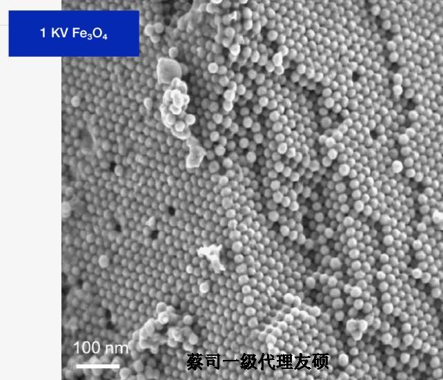 永川永川蔡司永川扫描电镜